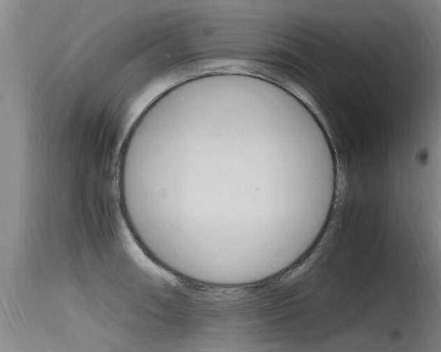 X0000115761090200911130954
