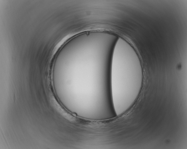 X0000115761091200911130954