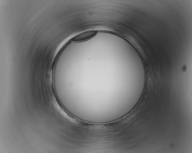 X0000115761092200911130954