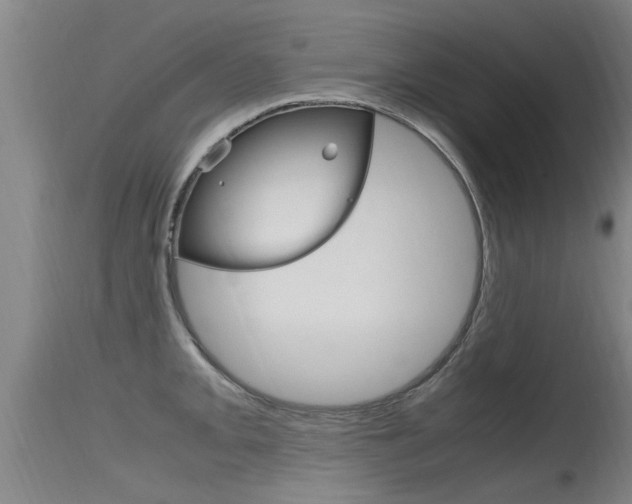X0000115761093200911130954