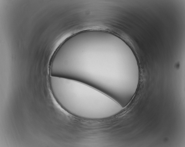 X0000115761095200911130954