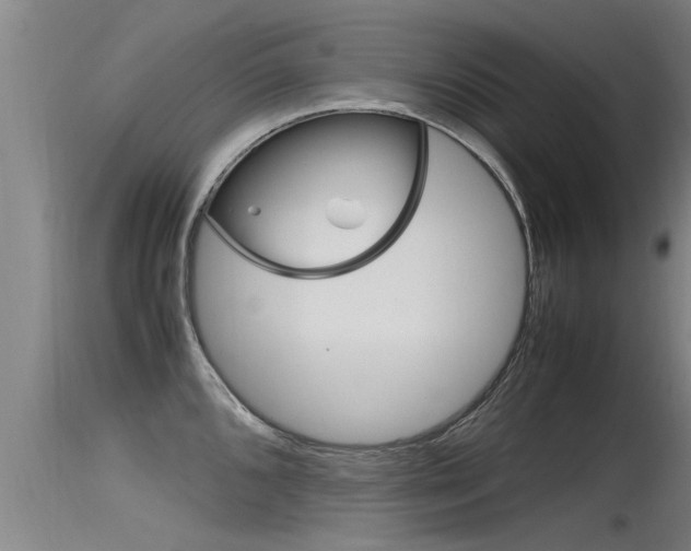 X0000115761096200911130954