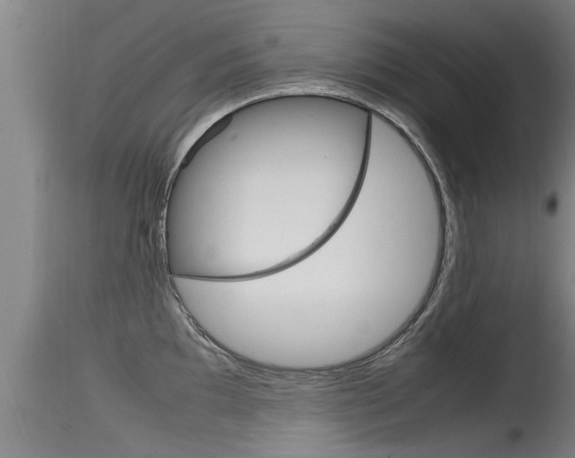 X0000115761097200911130954
