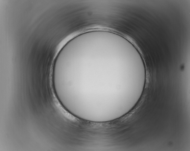 X0000115761098200911130954