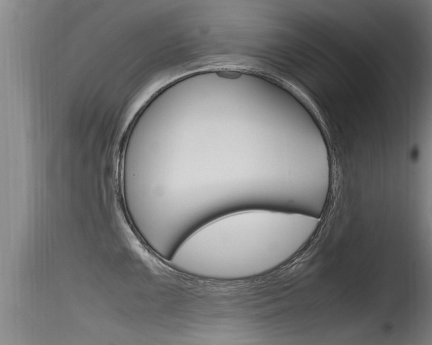 X0000115761099200911130954
