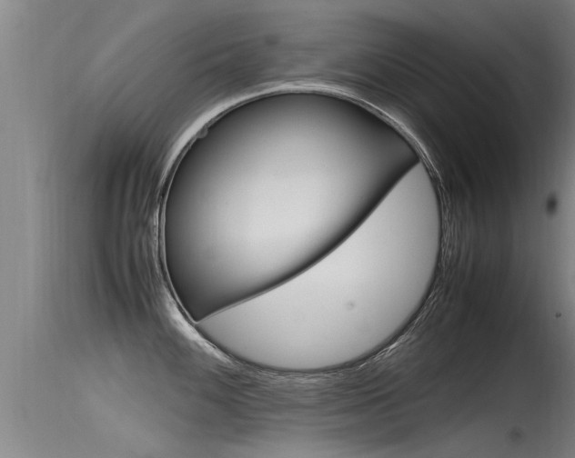 X0000115761100200911130954
