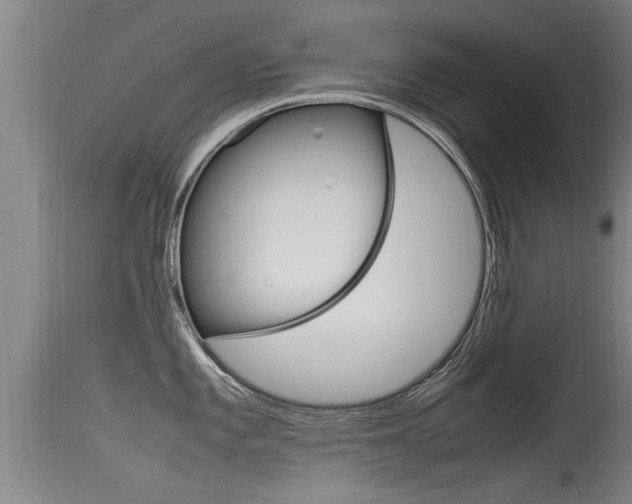 X0000115761101200911130954