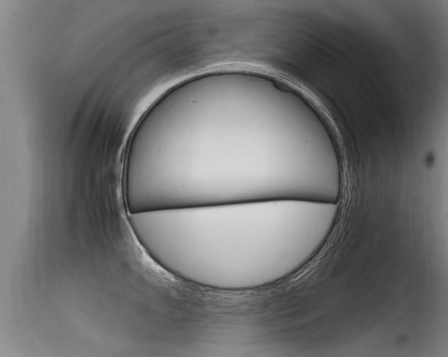 X0000115761102200911130954