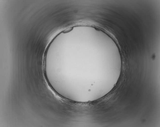 X0000115761103200911130954