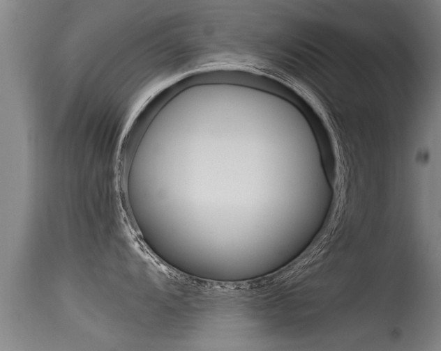 X0000115761104200911130954