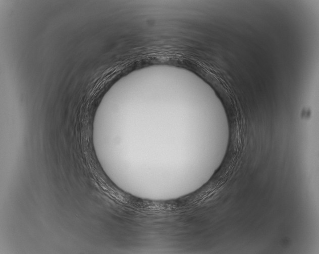 X0000115761105200911130953