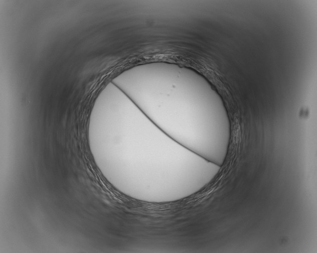 X0000115761109200911130953