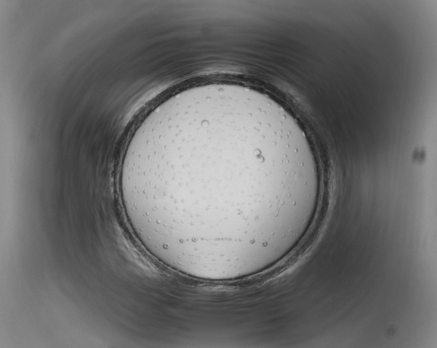 X0000115761113200911130953