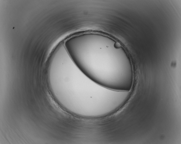 X0000115761118200911130953