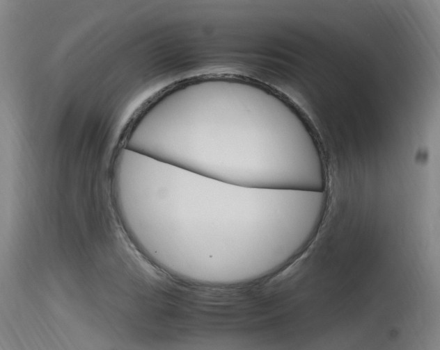 X0000115761119200911130953