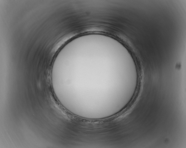 X0000115761121200911130953