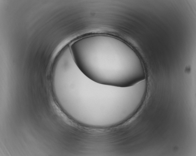 X0000115761122200911130953