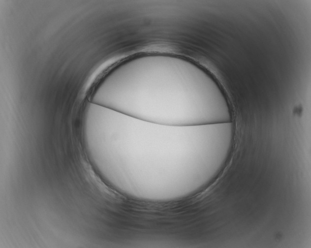 X0000115761123200911130953