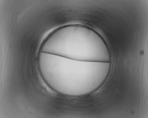X0000115761127200911130953