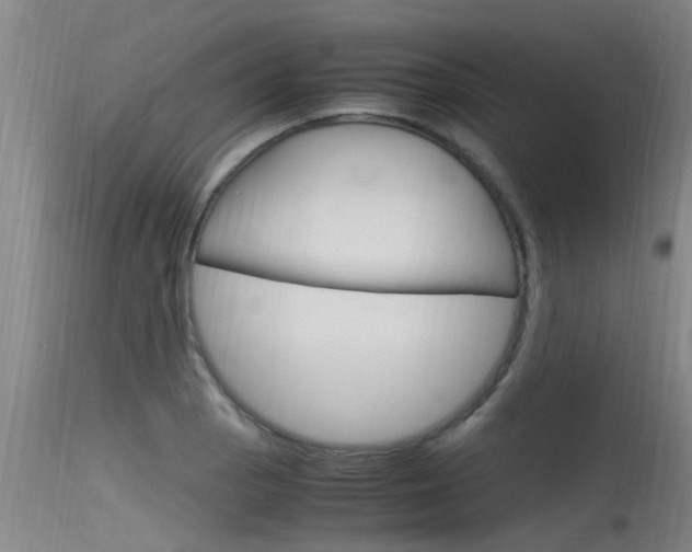 X0000115761129200911130953