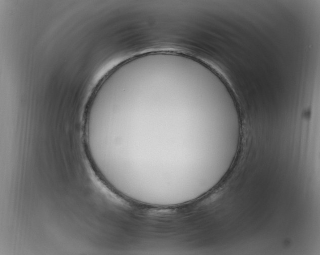 X0000115761135200911130954