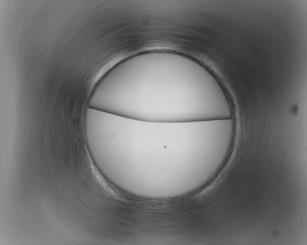 X0000115761137200911130954