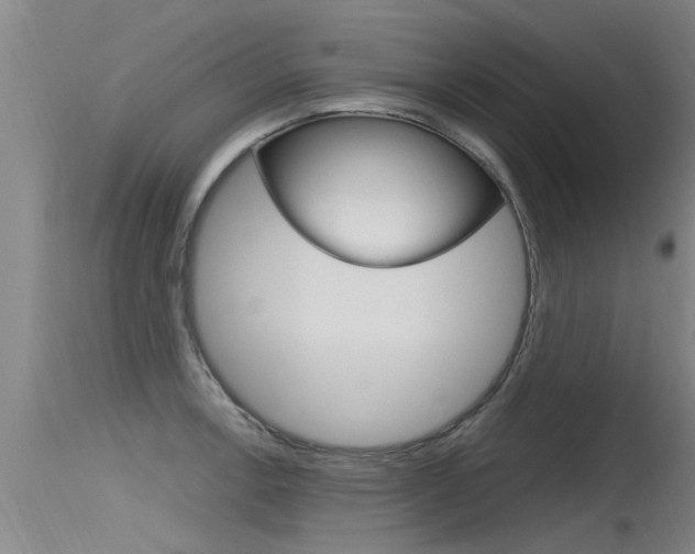 X0000115761138200911130954