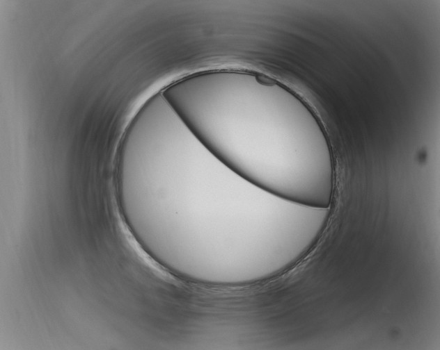 X0000115761142200911130954