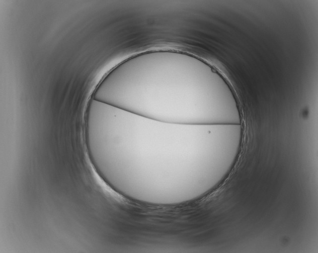X0000115761143200911130954