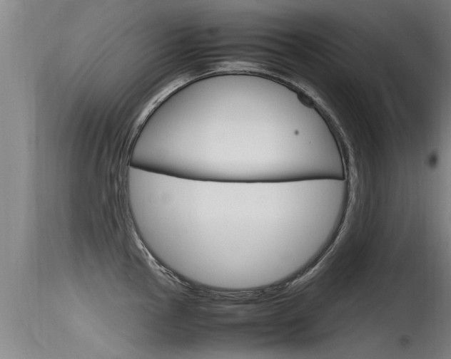 X0000115761145200911130954