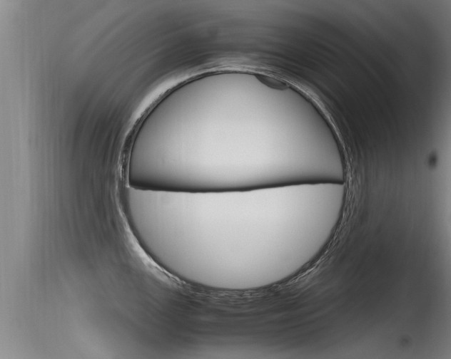 X0000115761147200911130954