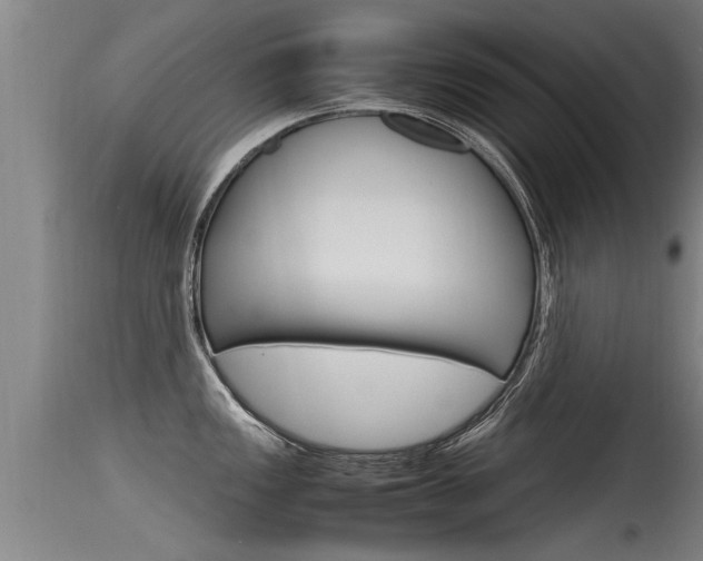 X0000115761149200911130954