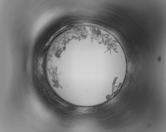 X0000115761150200911130954