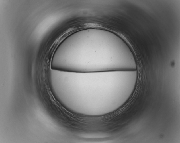 X0000115761151200911130954