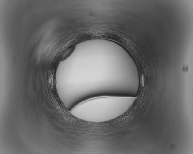 X0000115761155200911130953