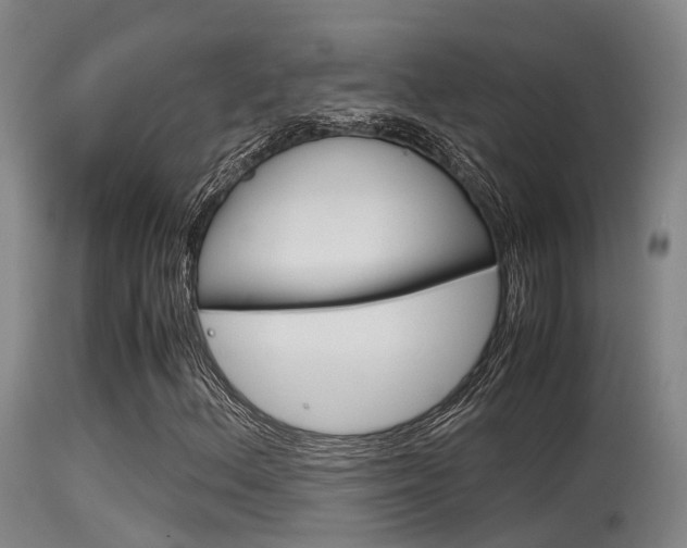 X0000115761156200911130953