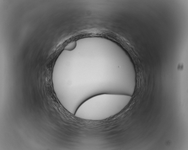 X0000115761158200911130953