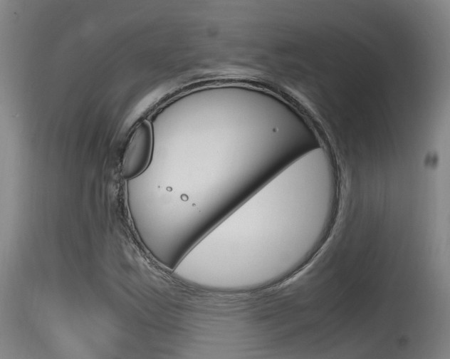 X0000115761163200911130953