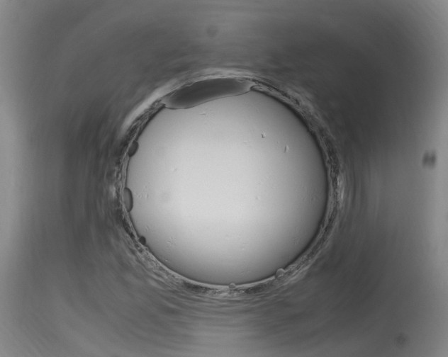X0000115761165200911130953