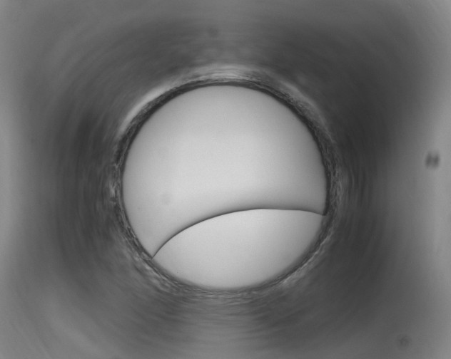 X0000115761166200911130953
