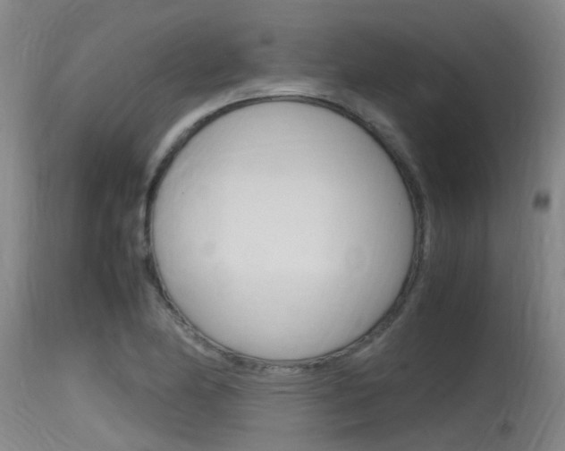 X0000115761174200911130953