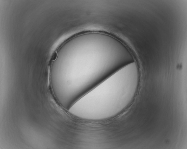 X0000115761175200911130953