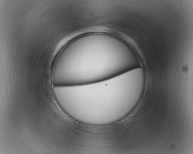 X0000115761176200911130953