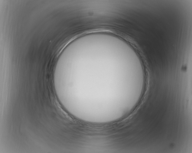X0000115761177200911130953
