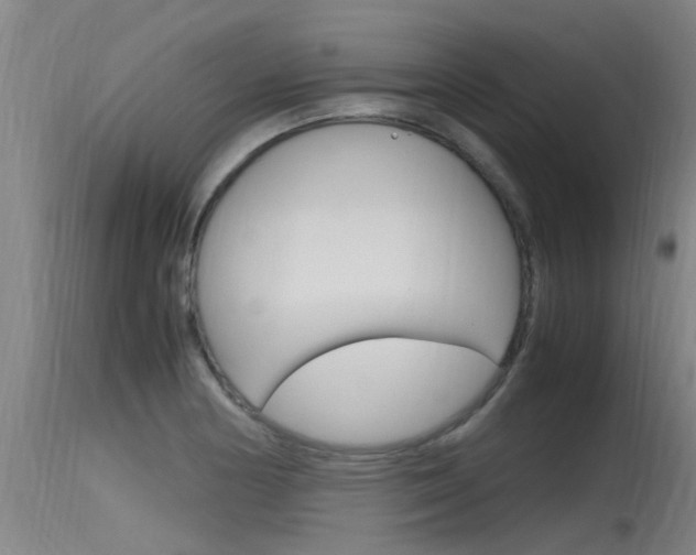 X0000115761178200911130953