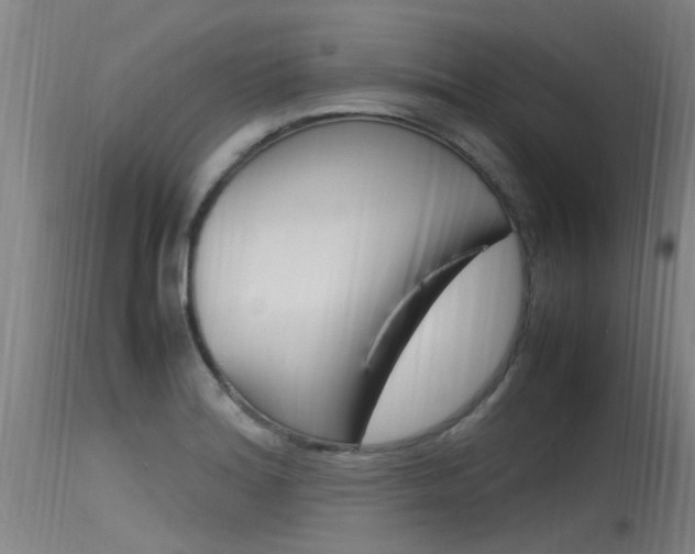 X0000115761180200911130953