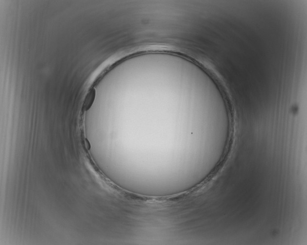 X0000115761181200911130953