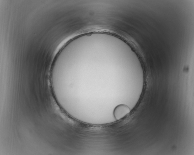 X0000115761182200911130953