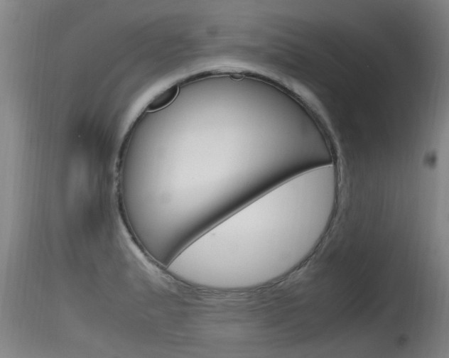 X0000115761183200911130953