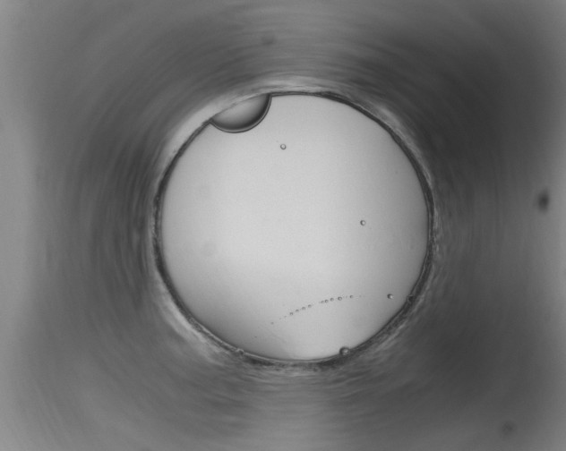 X0000115761187200911130953